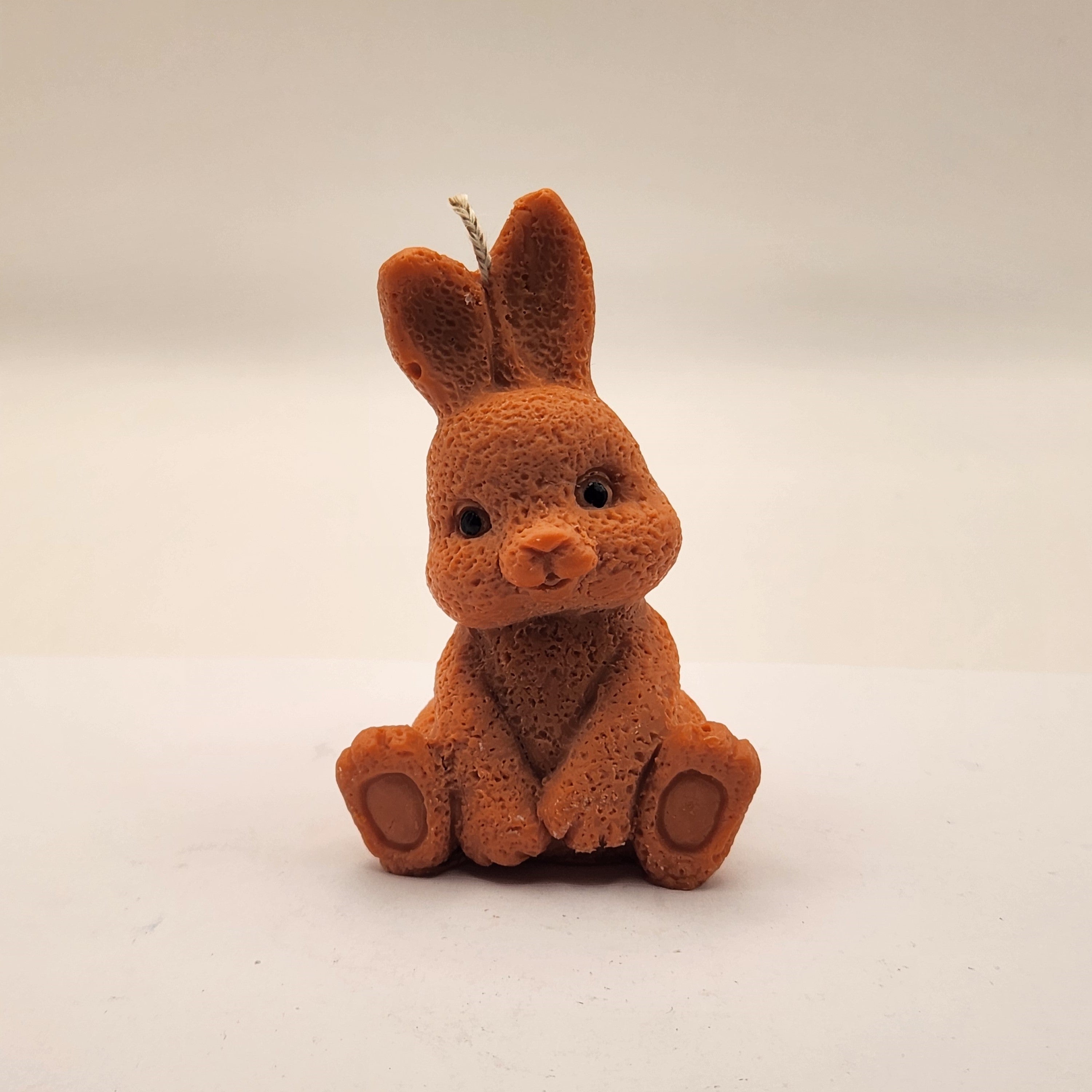 Kikkis kõrvadega jänes