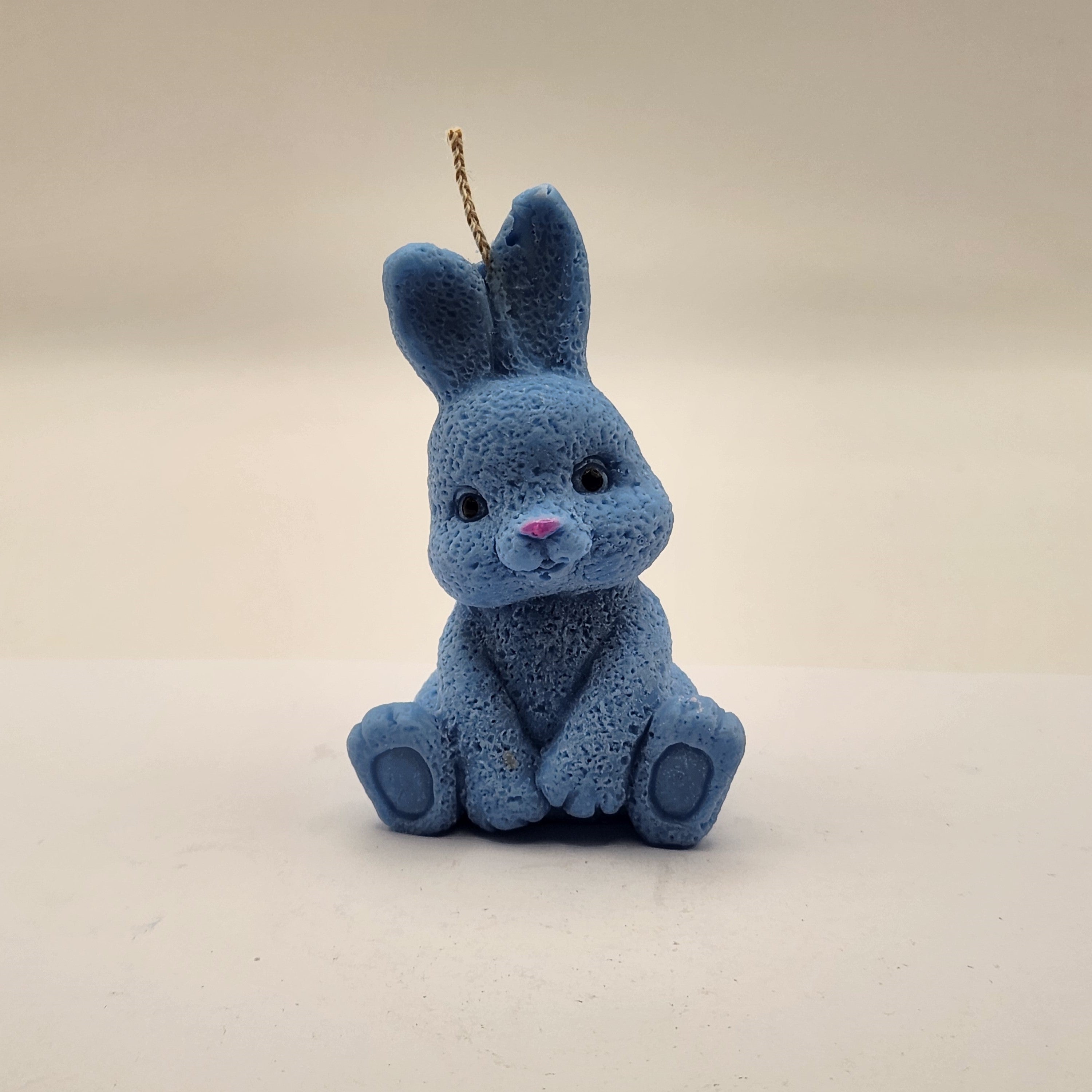 Kikkis kõrvadega jänes