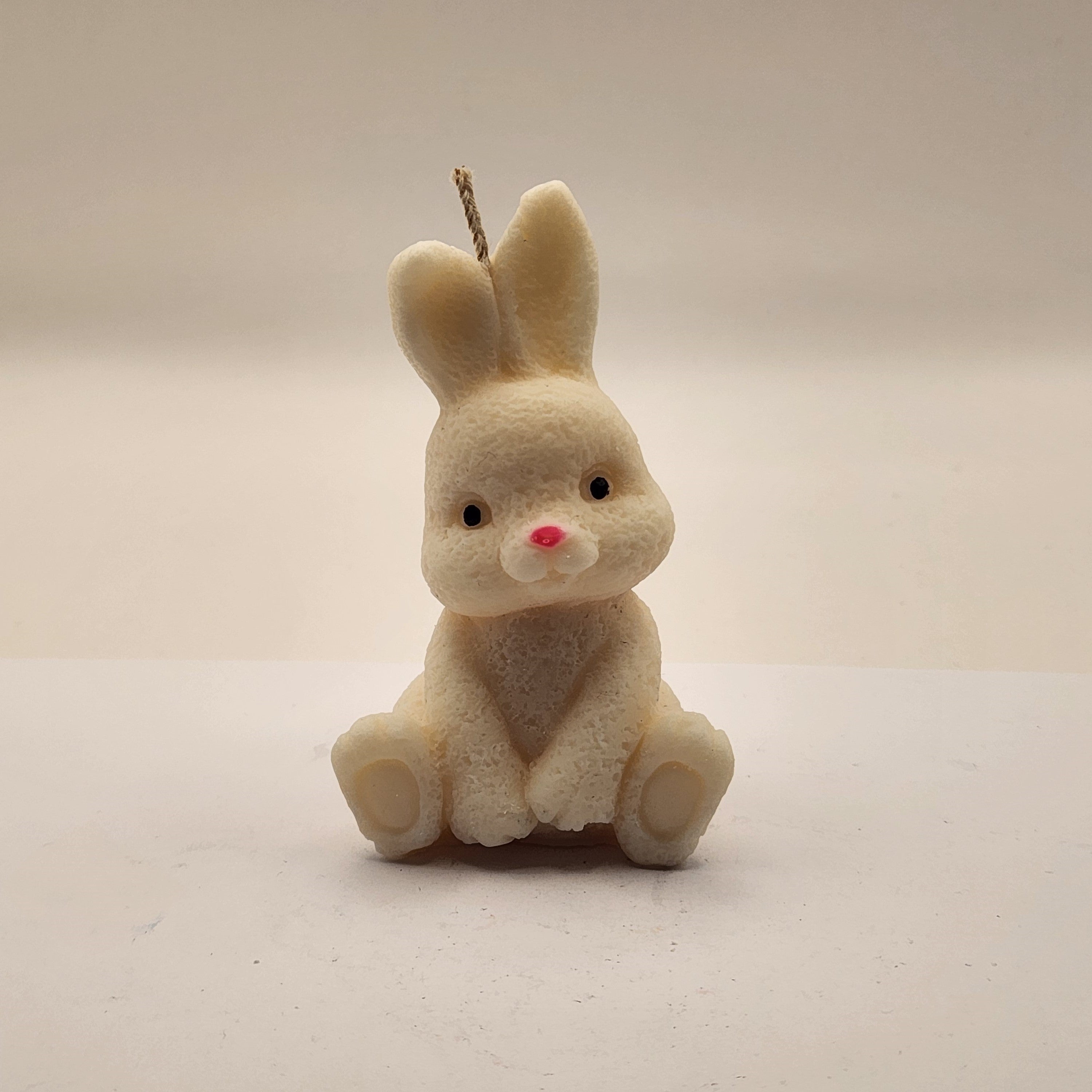 Kikkis kõrvadega jänes