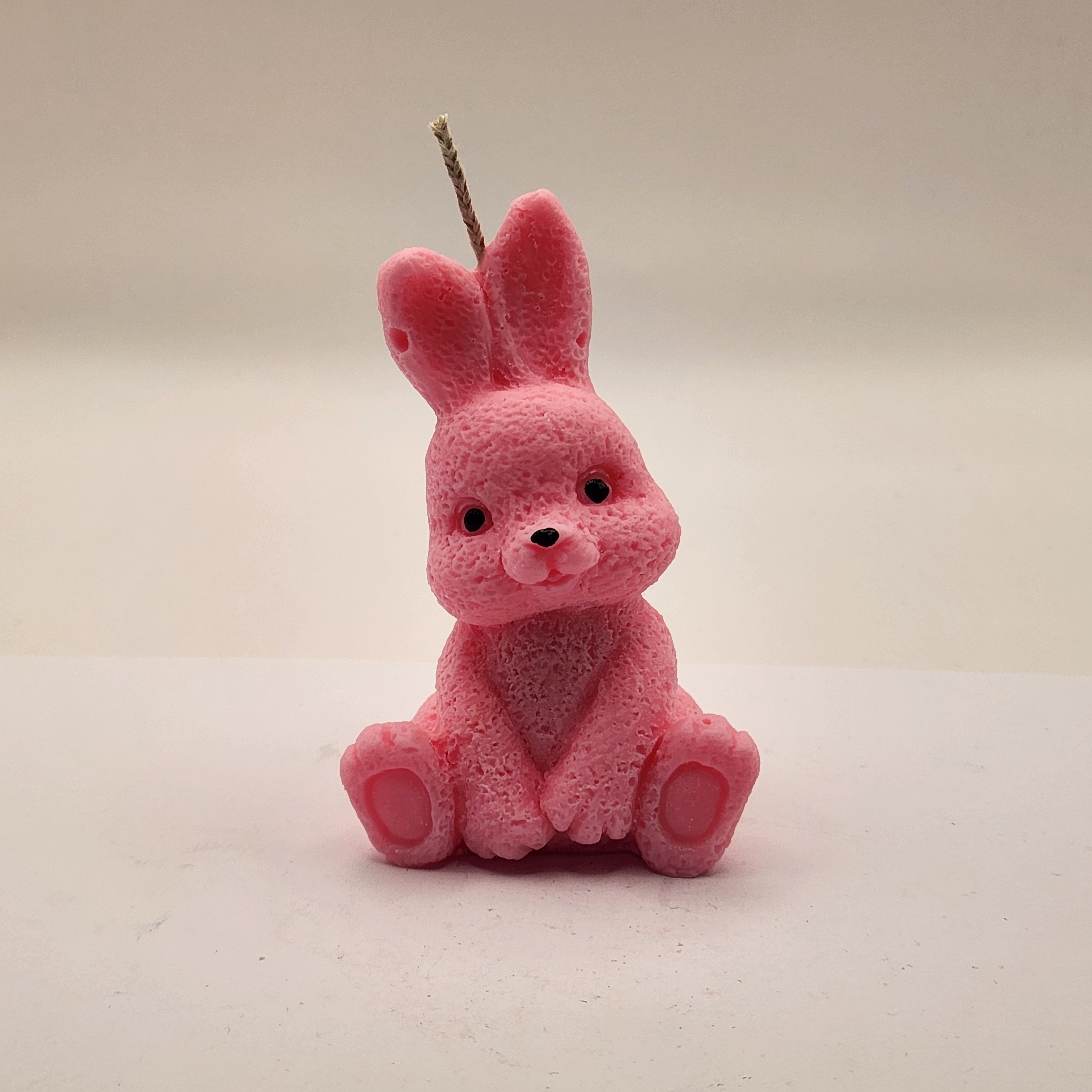 Kikkis kõrvadega jänes