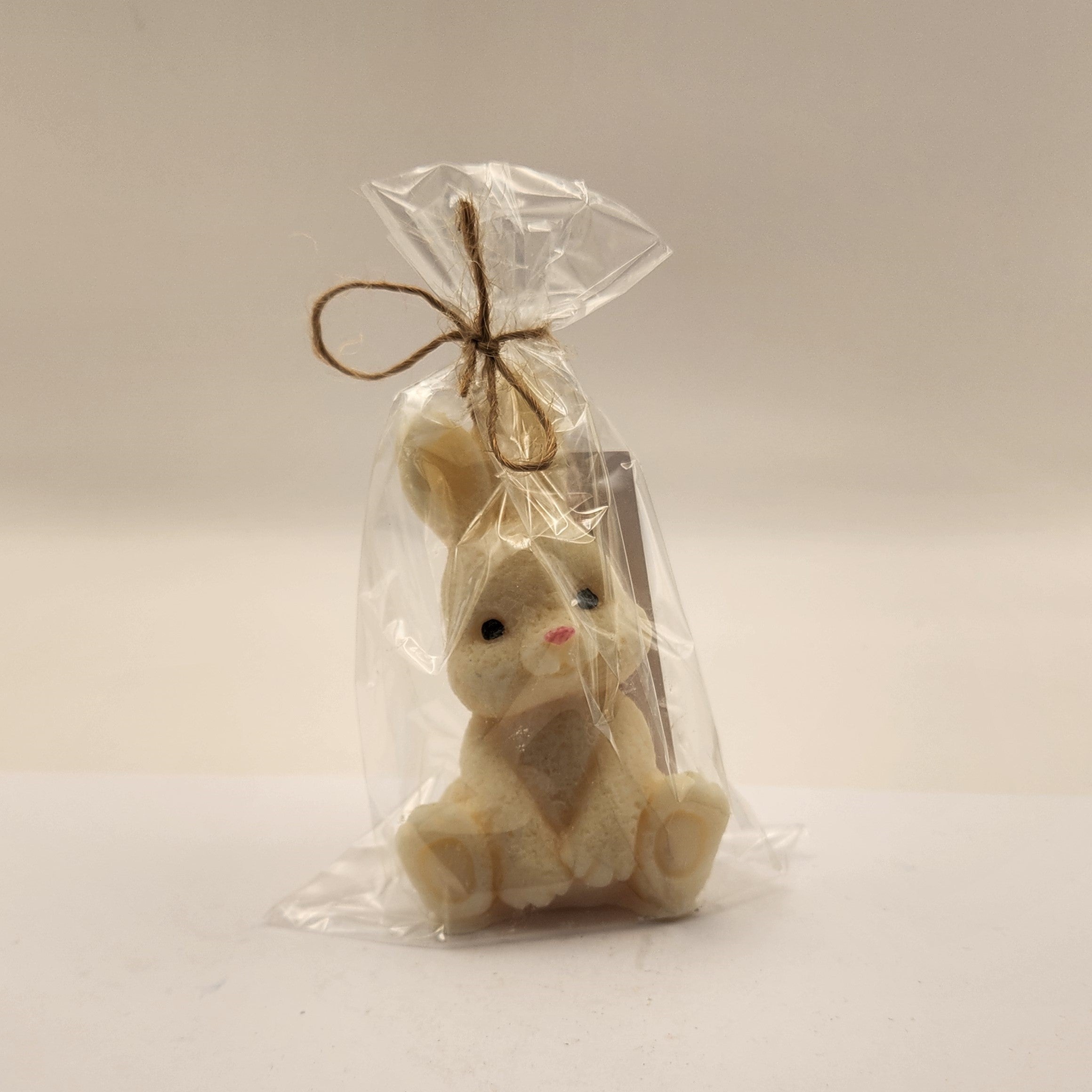 Kikkis kõrvadega jänes