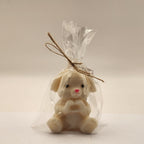 Lontis kõrvadega jänes