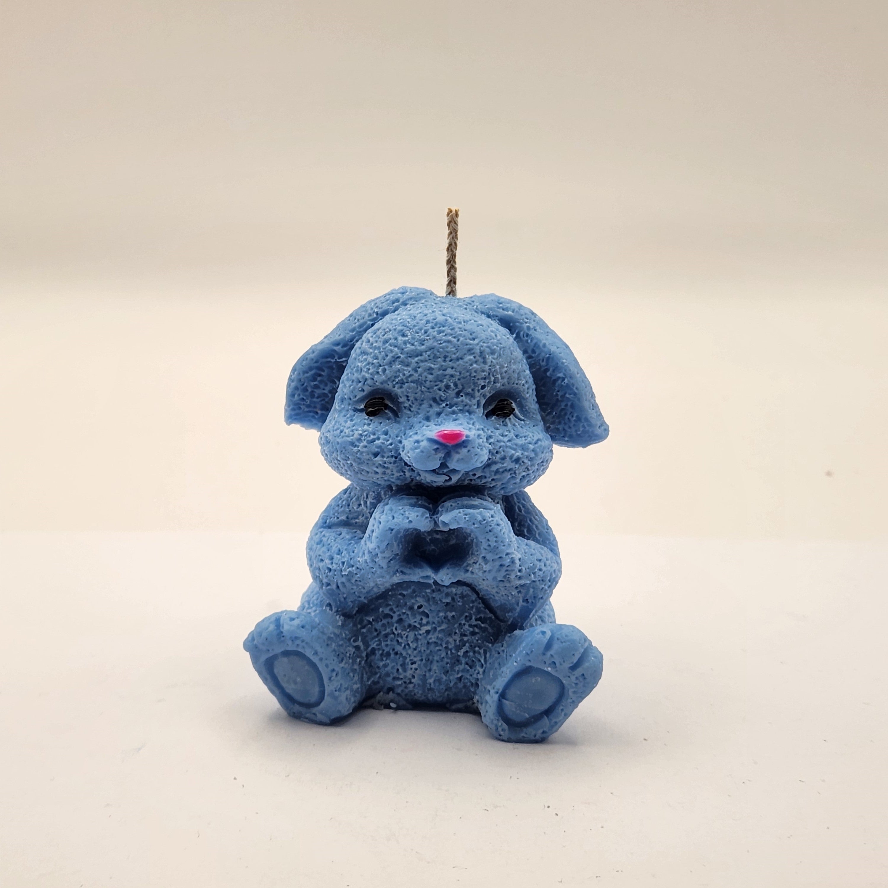 Lontis kõrvadega jänes