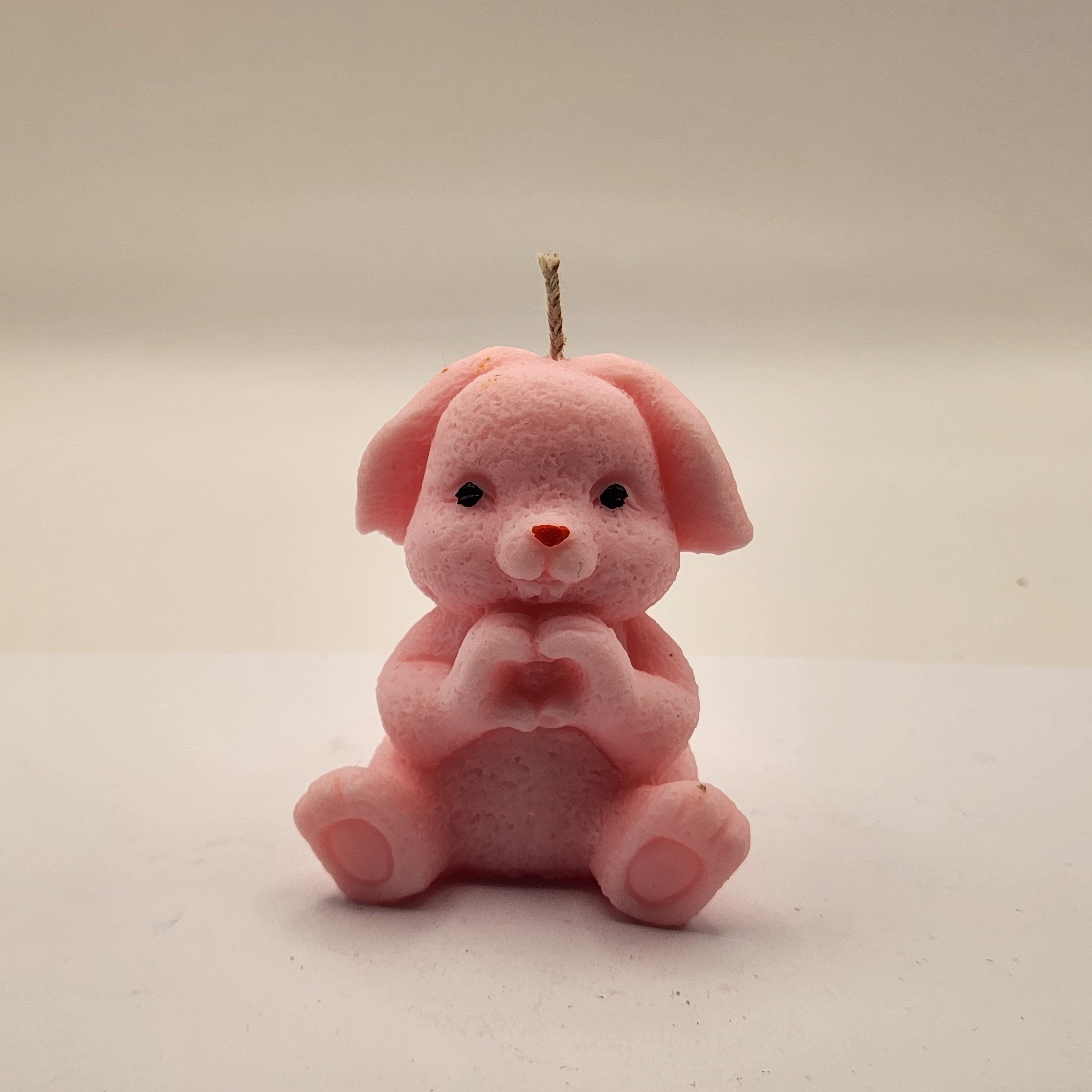 Lontis kõrvadega jänes