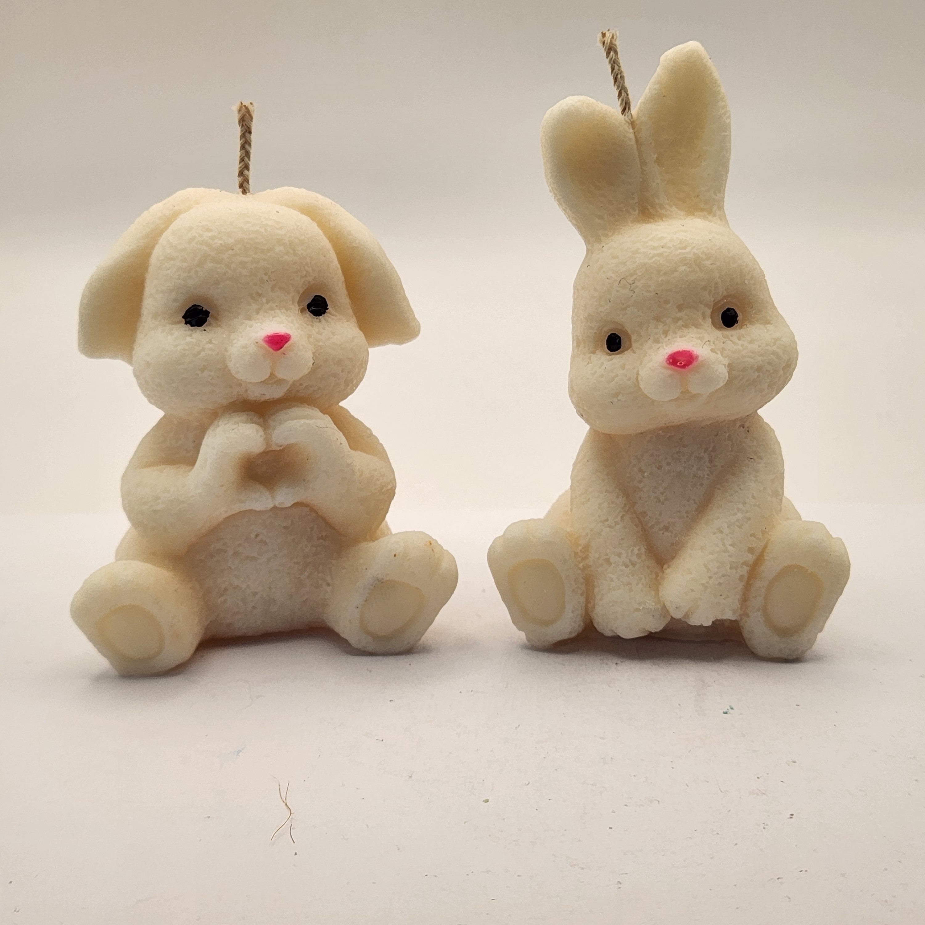 Kikkis kõrvadega jänes