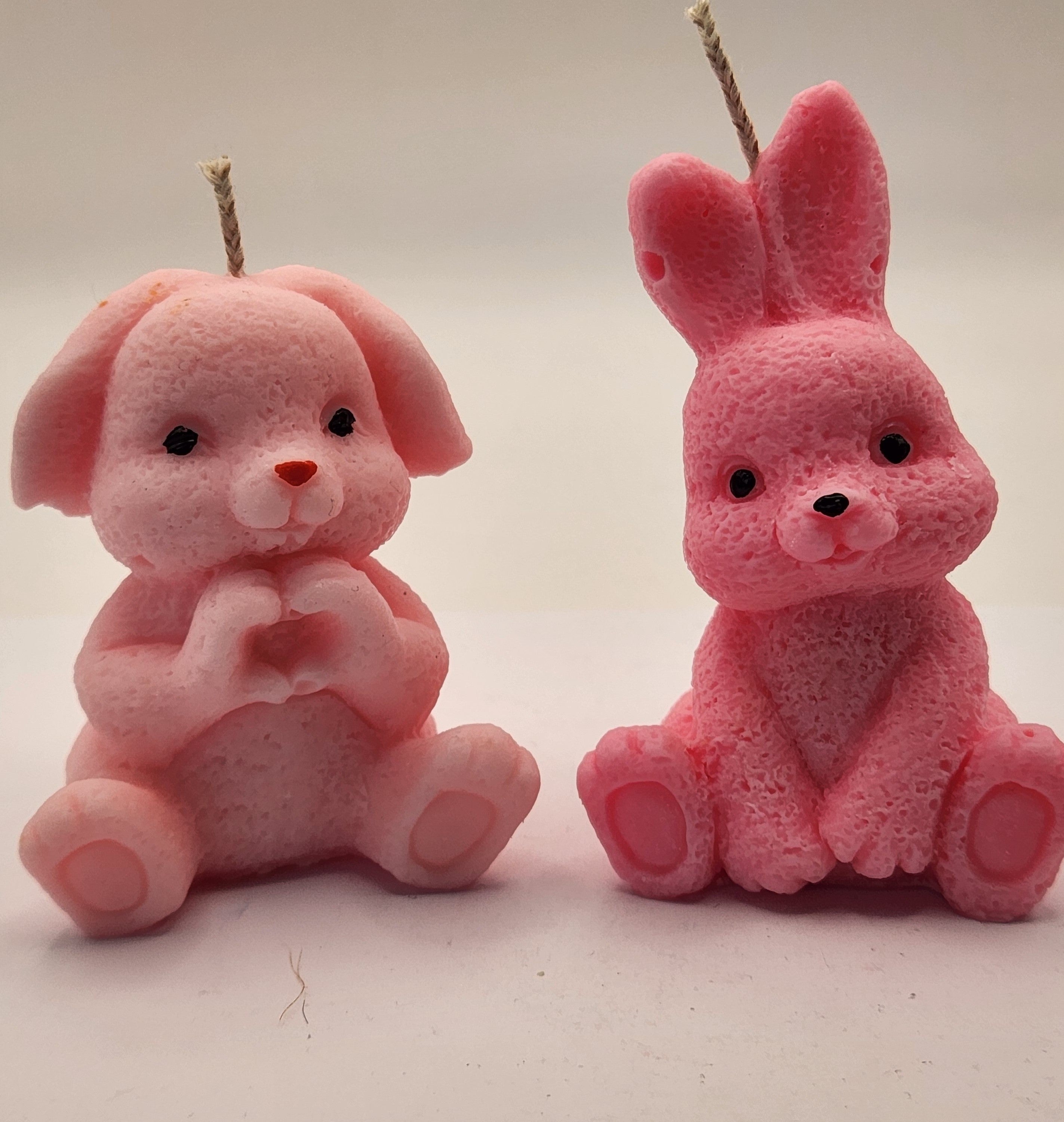 Lontis kõrvadega jänes