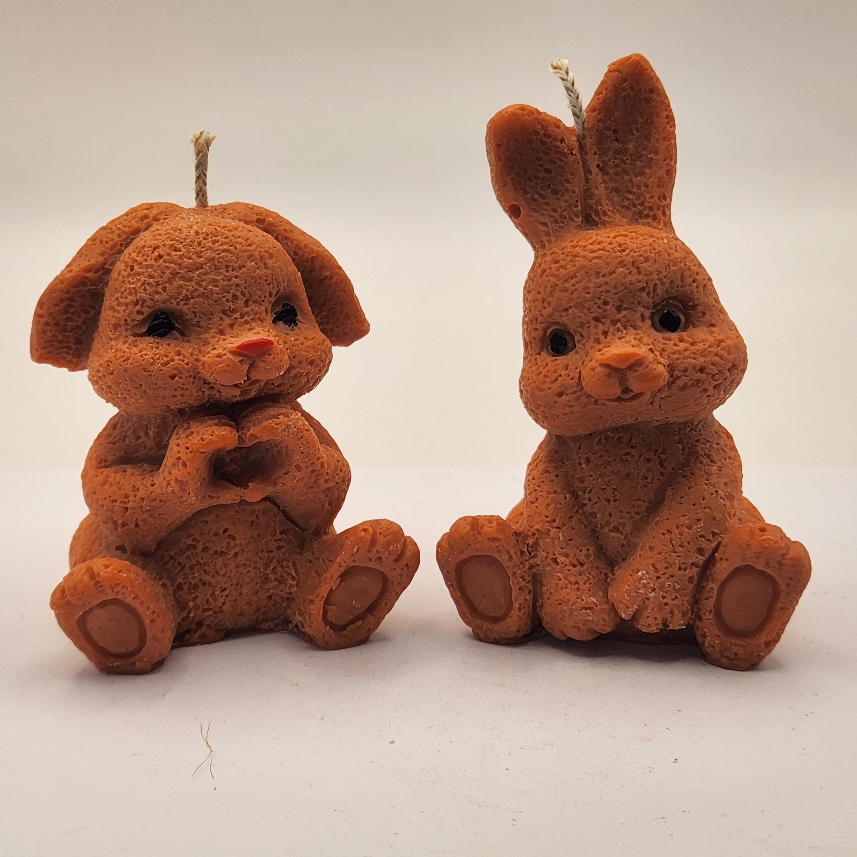 Kikkis kõrvadega jänes