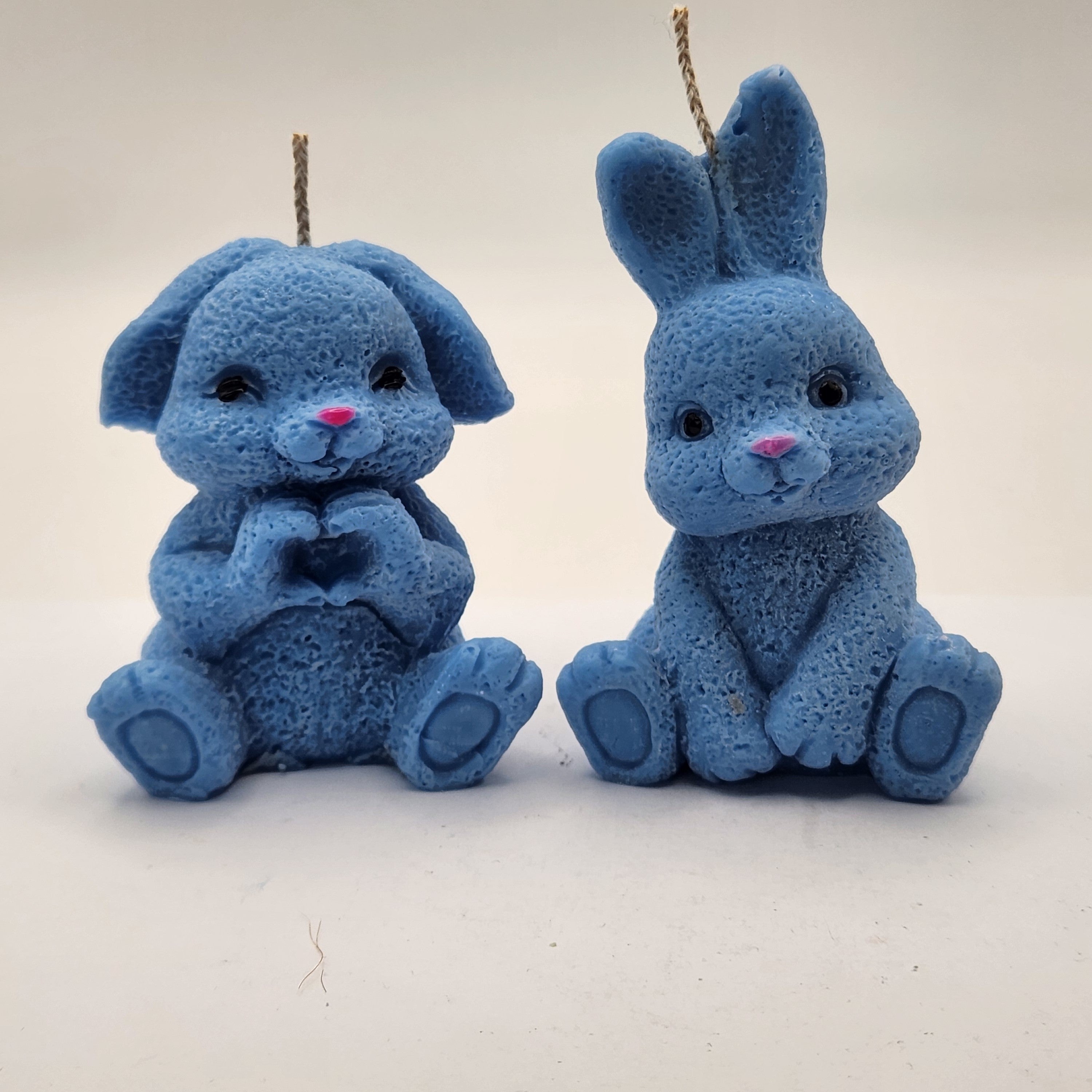 Lontis kõrvadega jänes