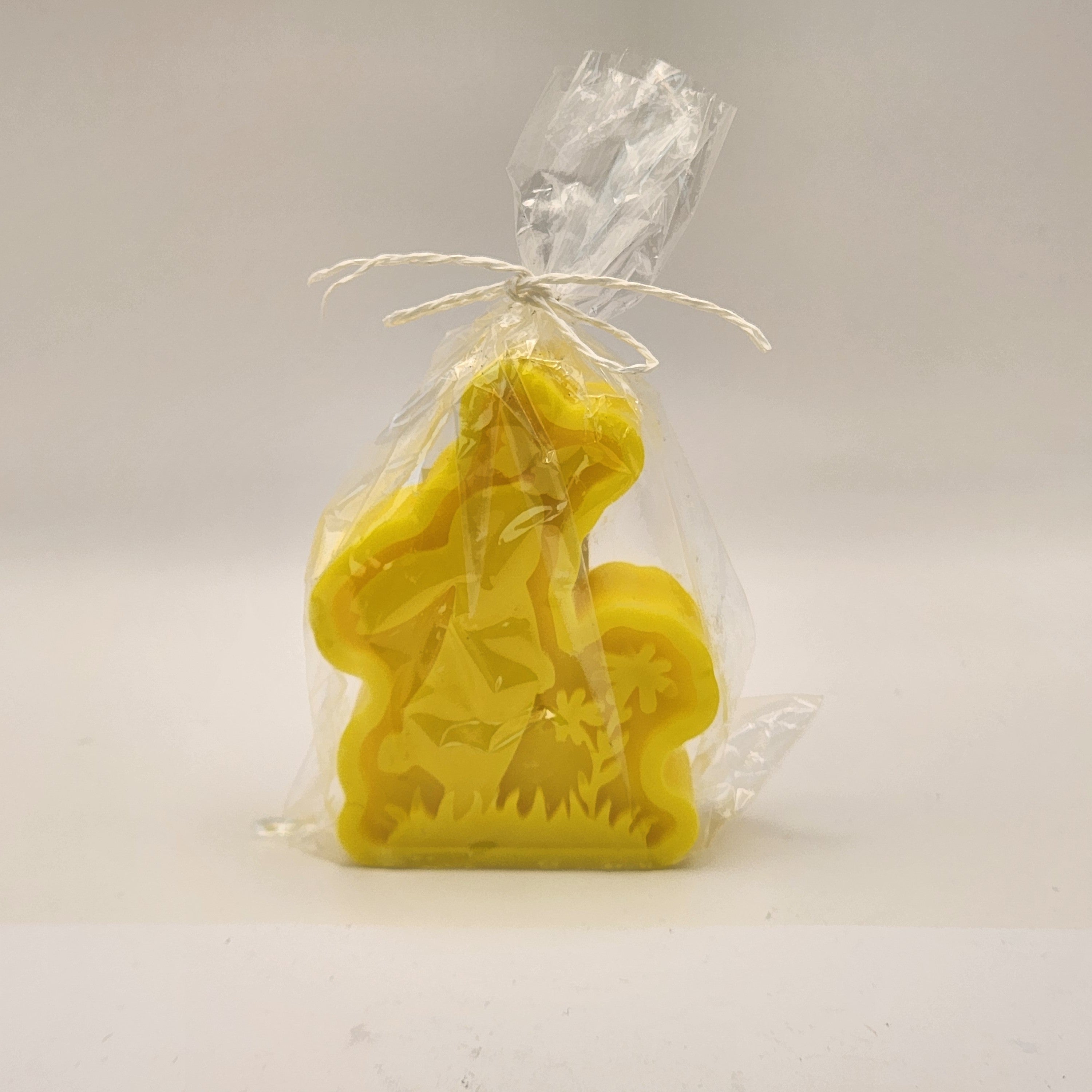 Lapik jänes liblikaga