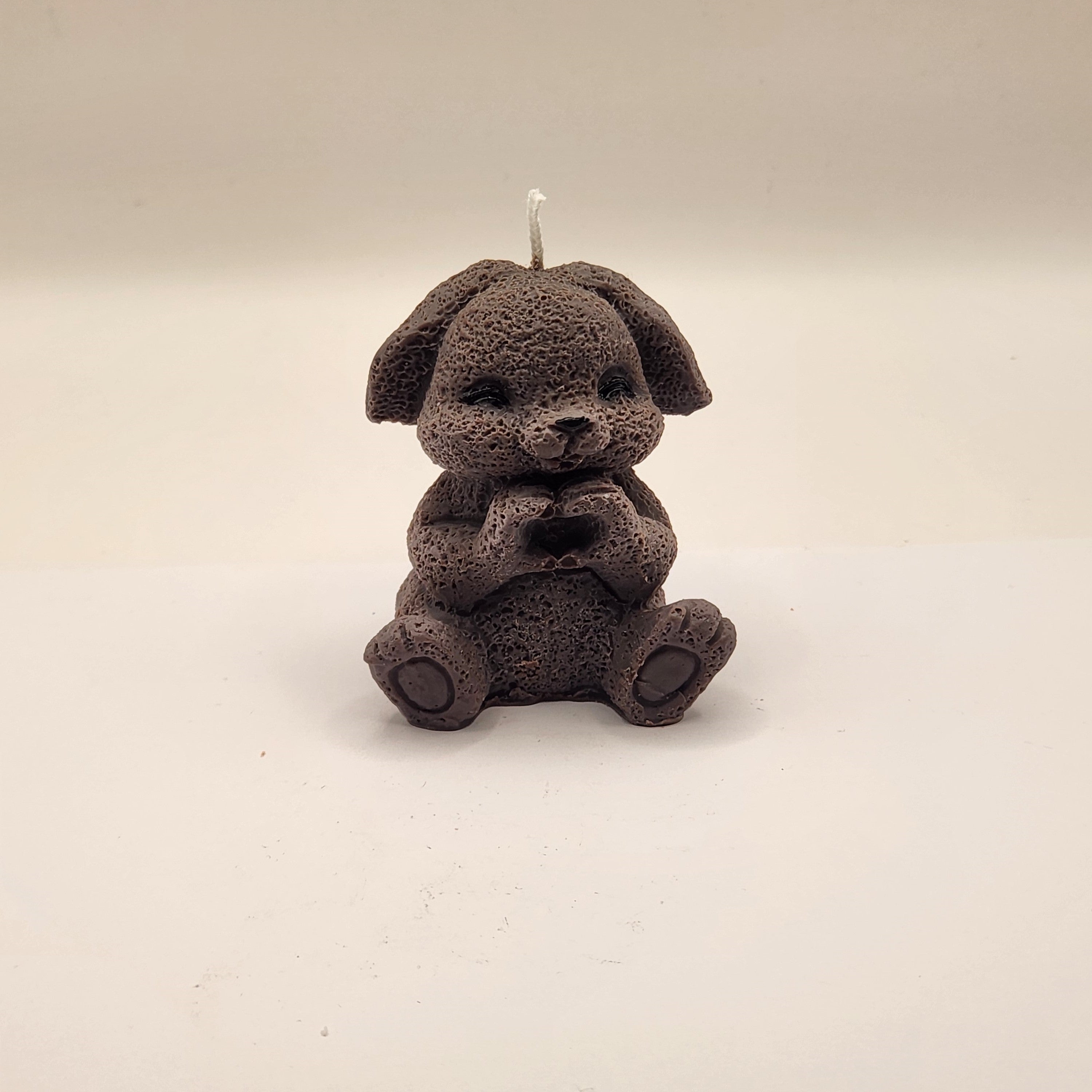 Lontis kõrvadega jänes