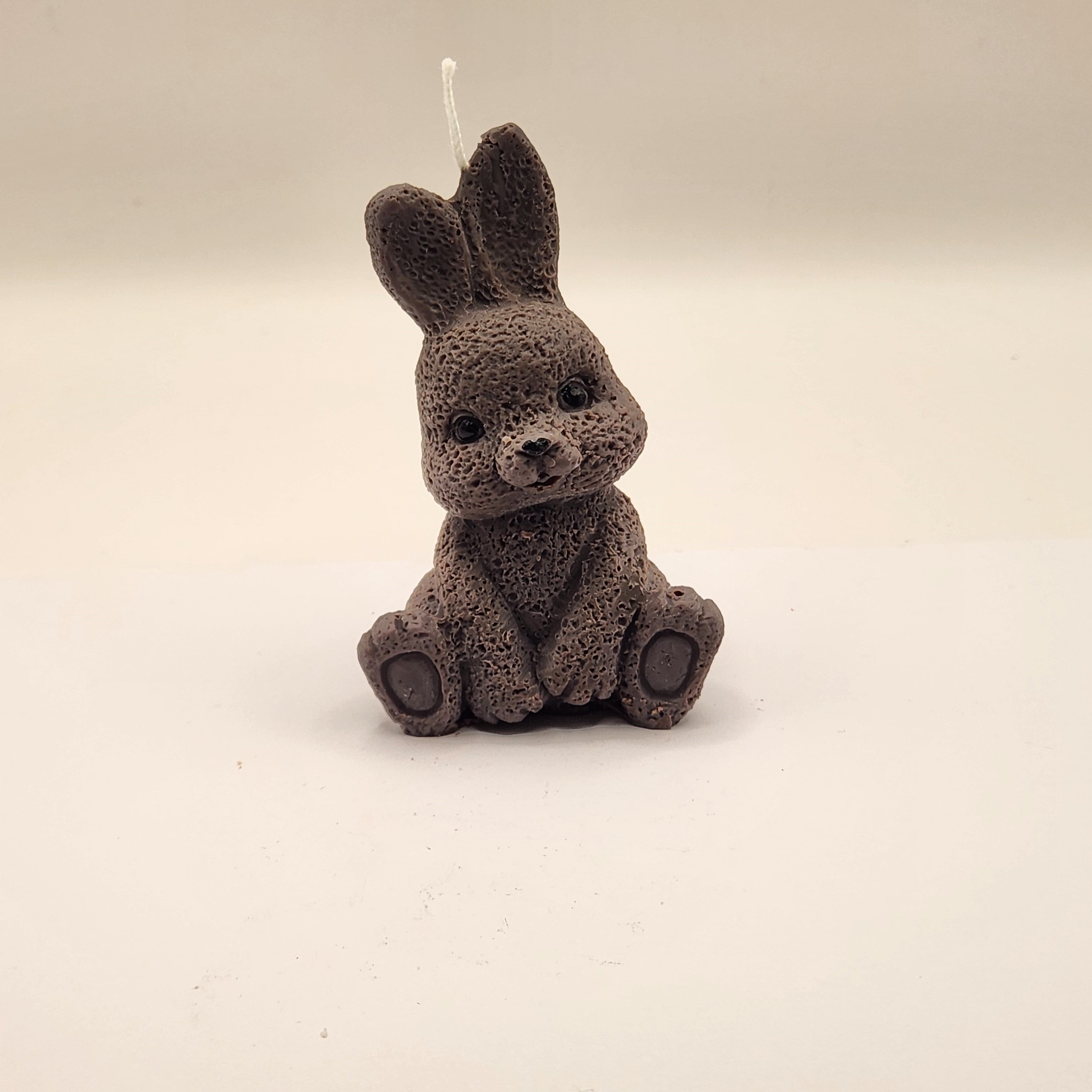 Kikkis kõrvadega jänes