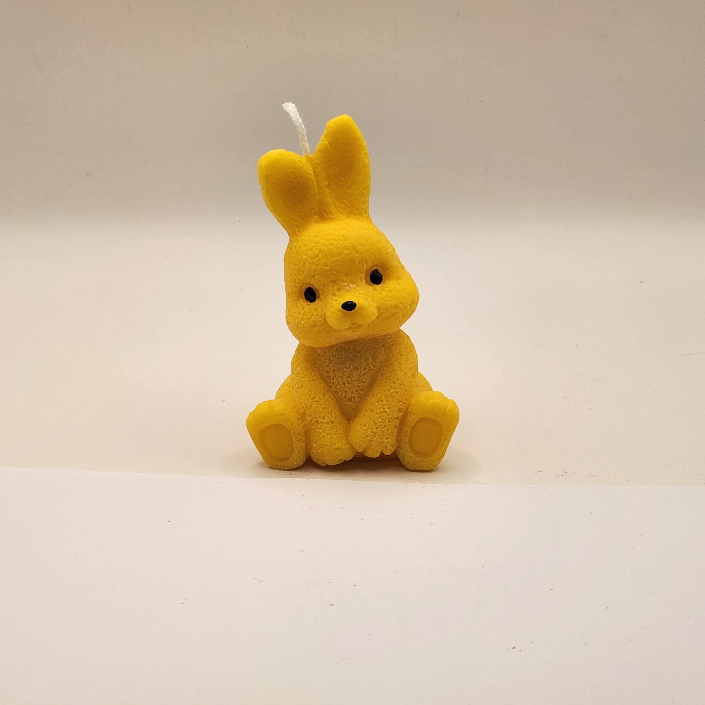 Kikkis kõrvadega jänes