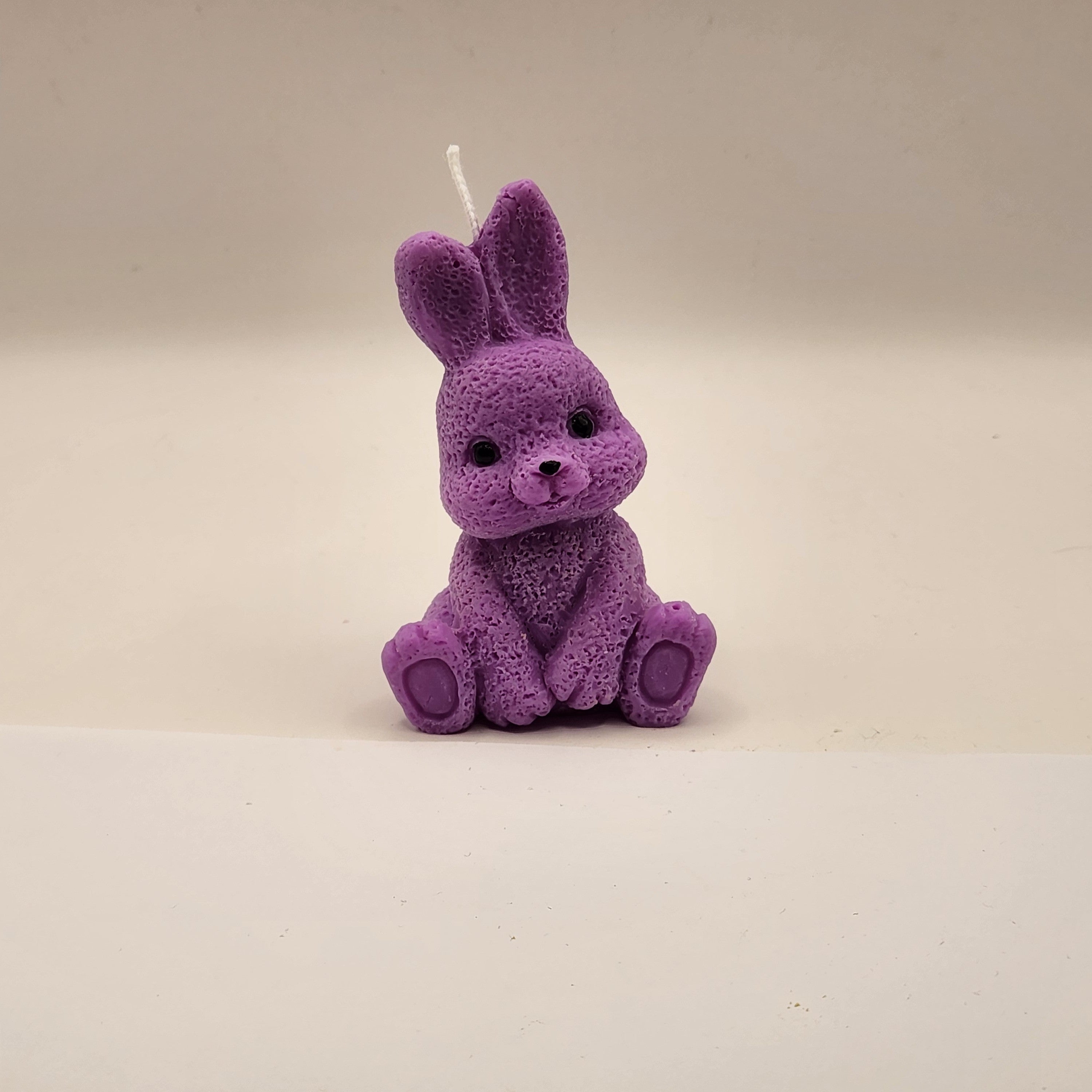 Kikkis kõrvadega jänes