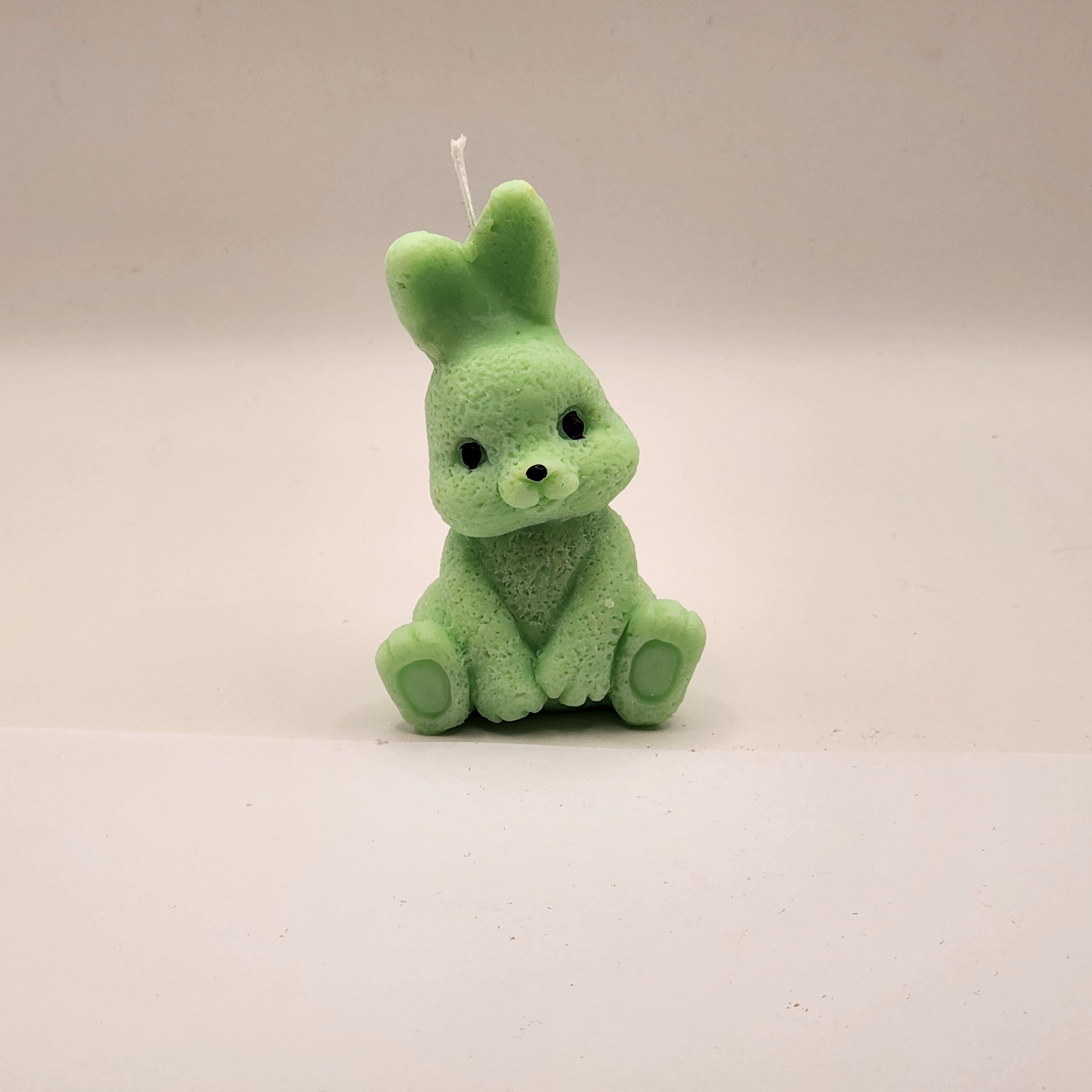 Kikkis kõrvadega jänes