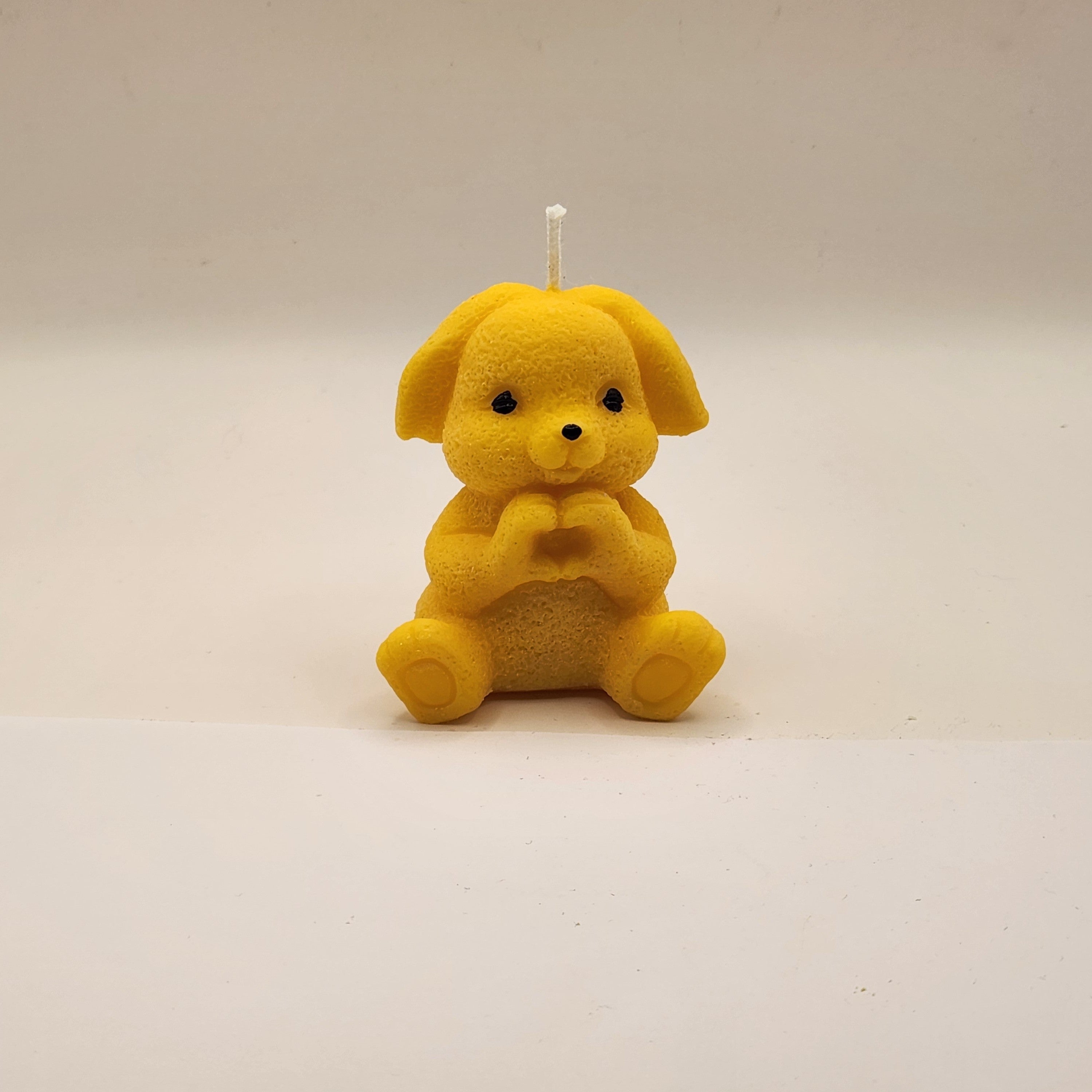 Lontis kõrvadega jänes