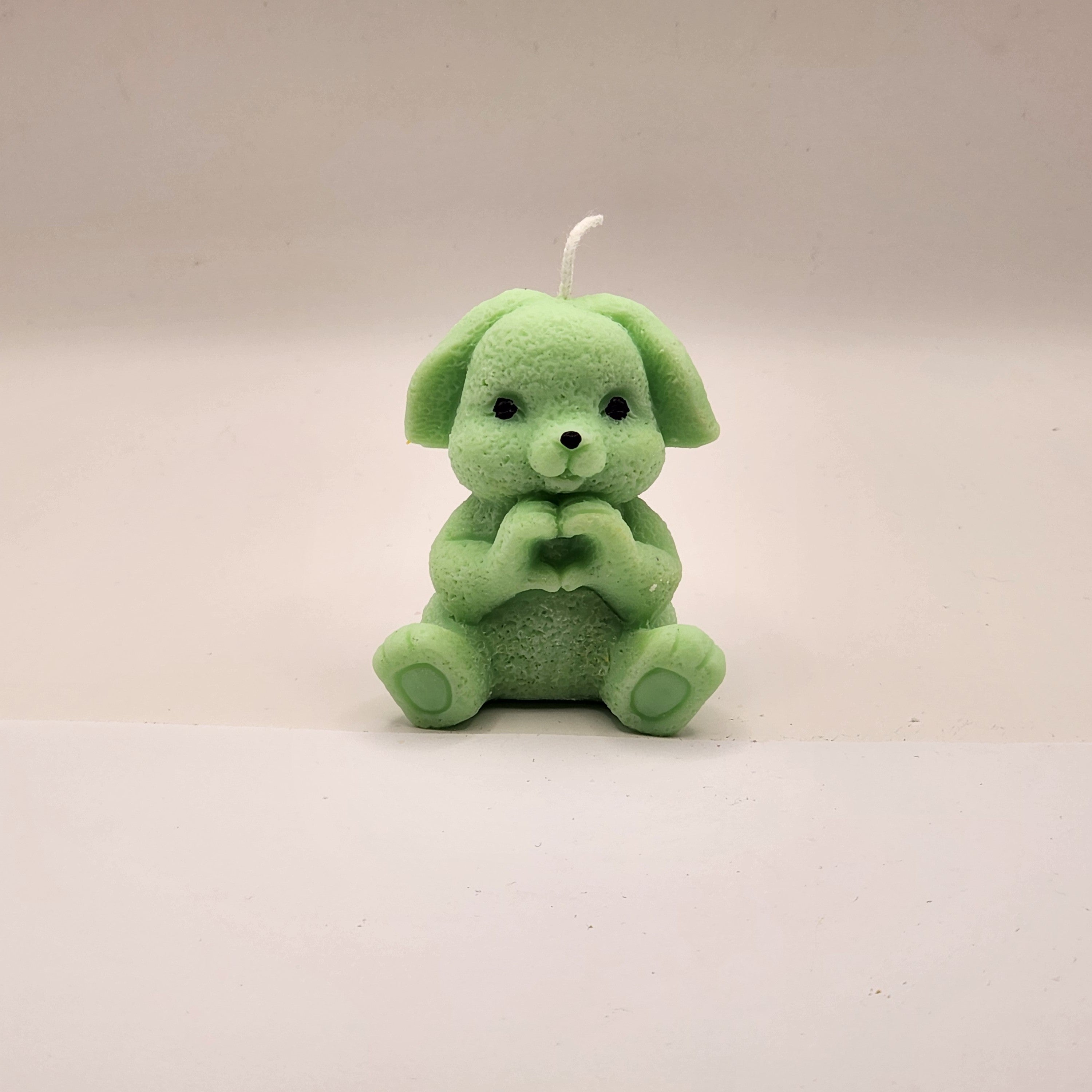 Lontis kõrvadega jänes