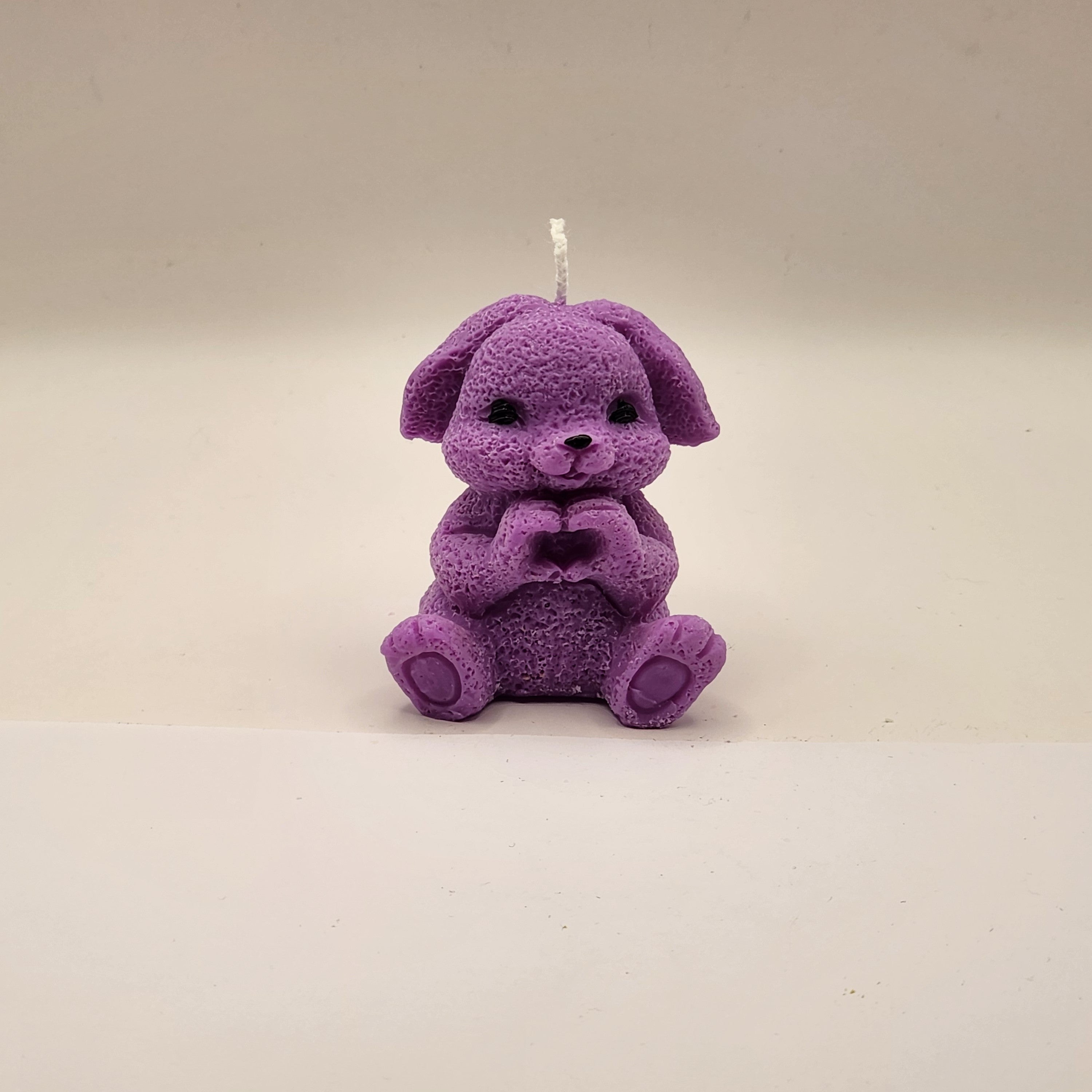 Lontis kõrvadega jänes