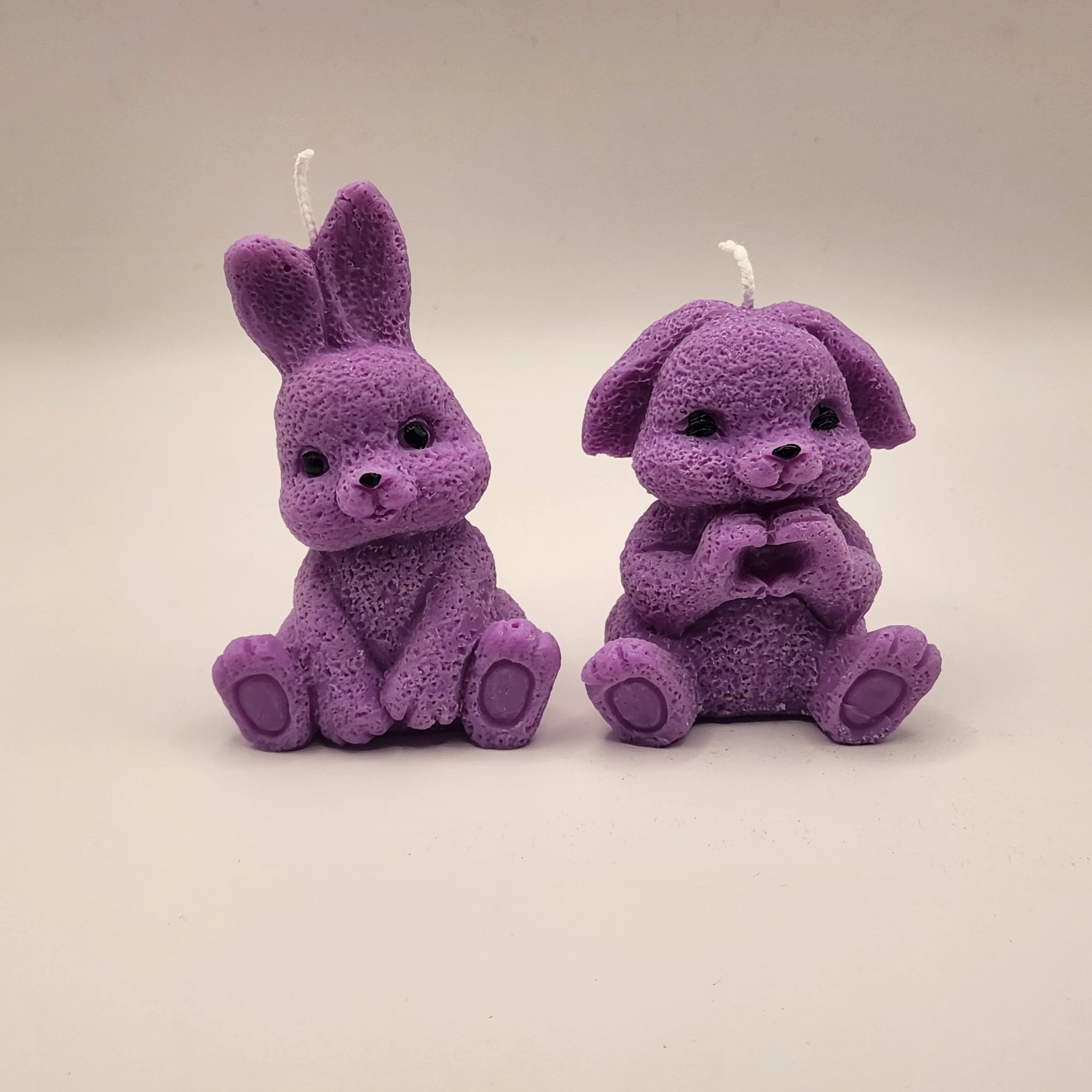 Lontis kõrvadega jänes