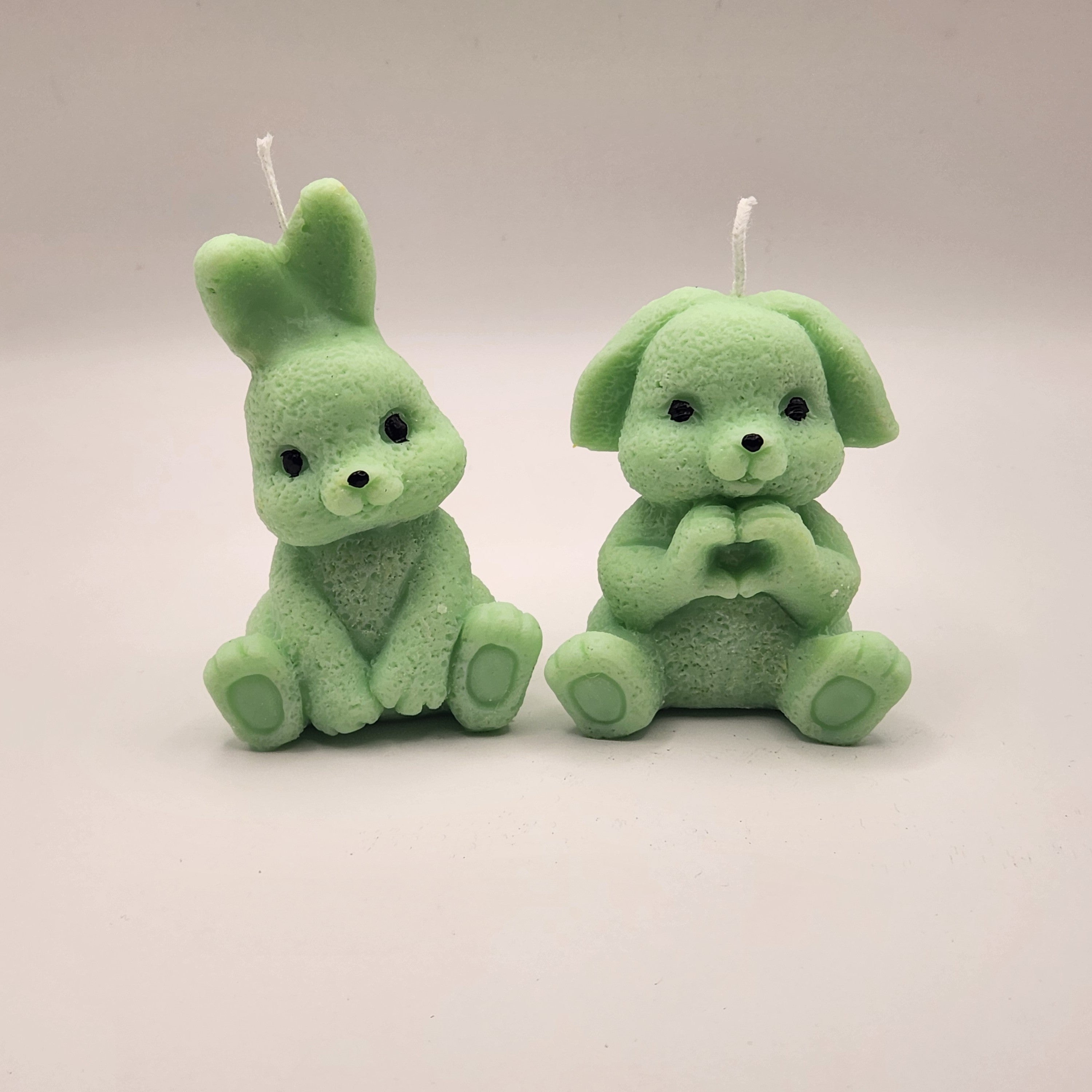 Lontis kõrvadega jänes