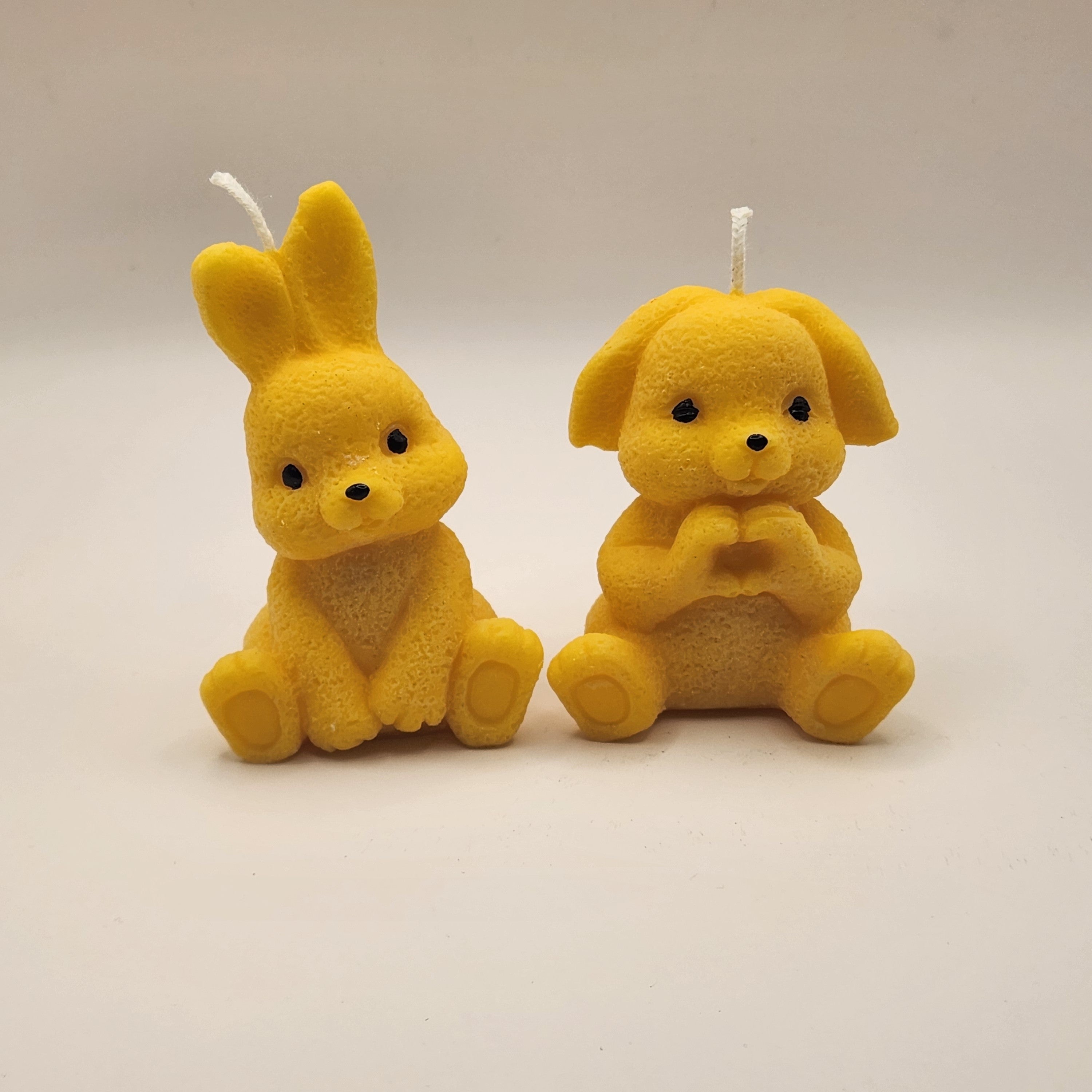 Kikkis kõrvadega jänes