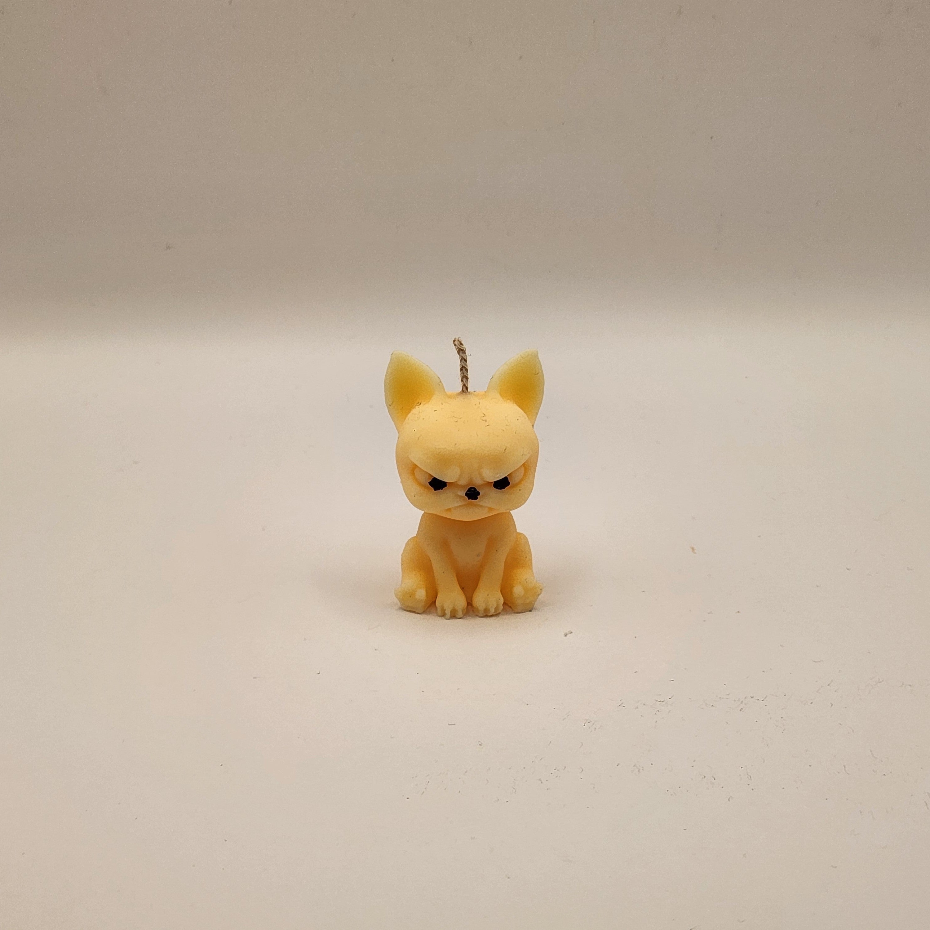 Kuri kutsu