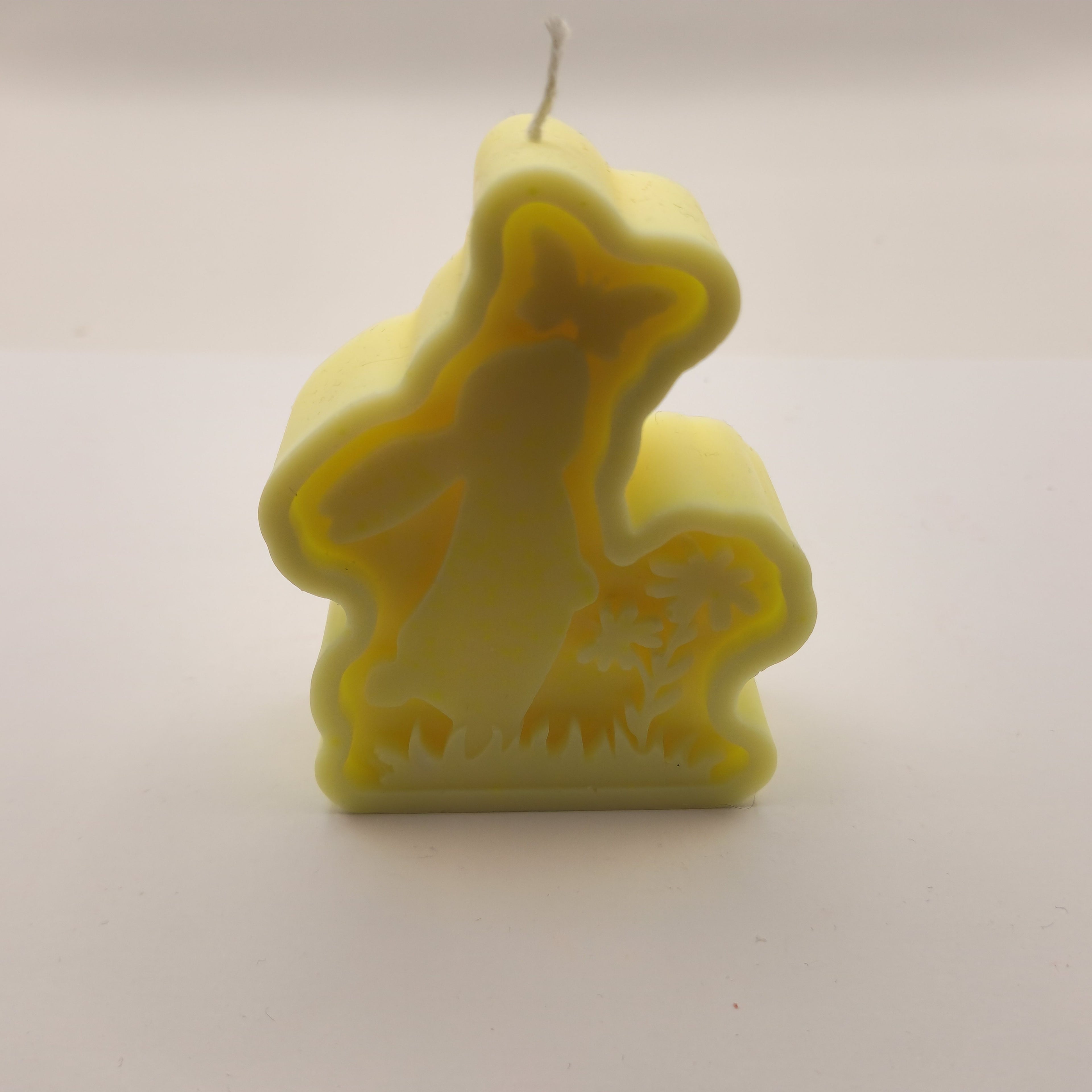 Lapik jänes liblikaga