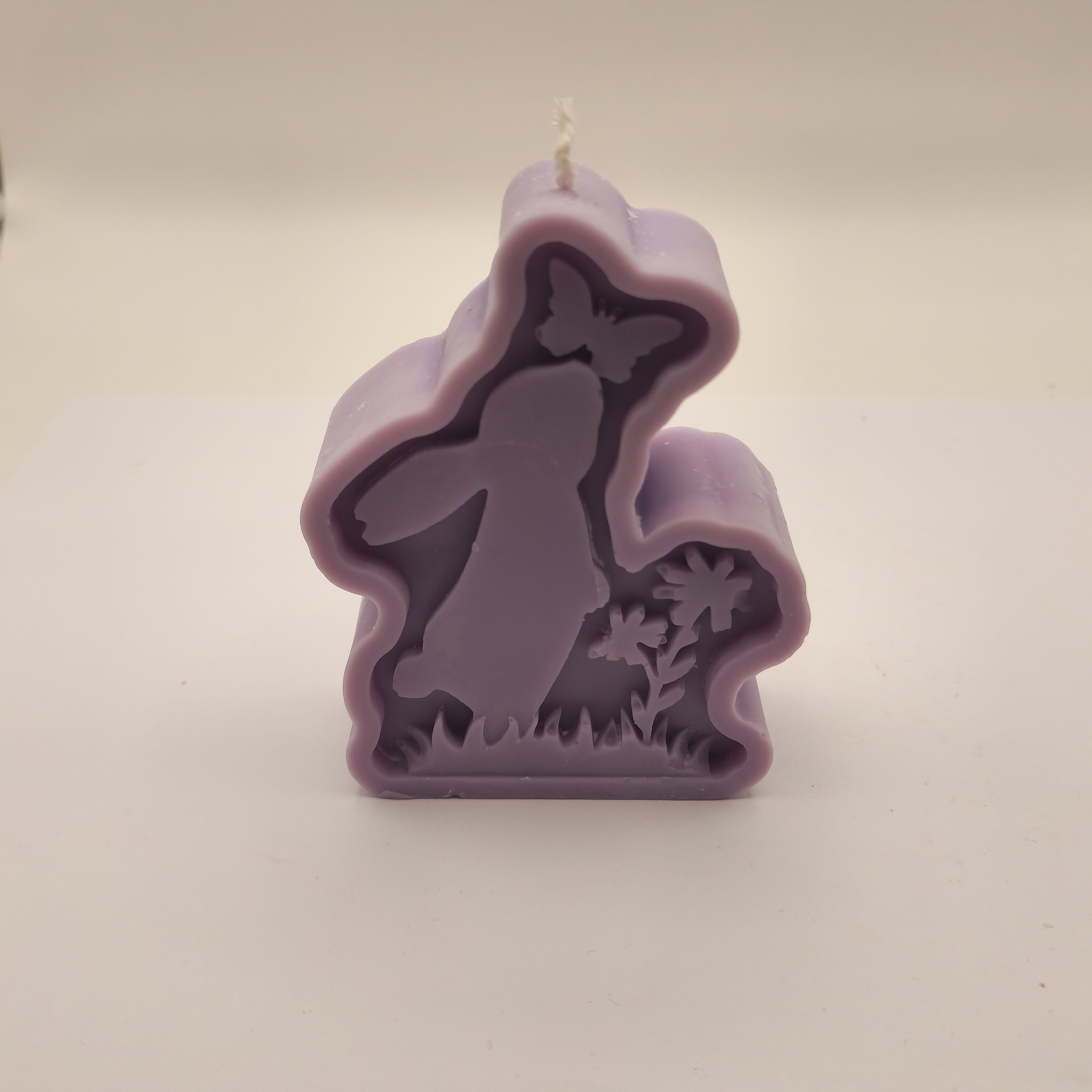 Lapik jänes liblikaga