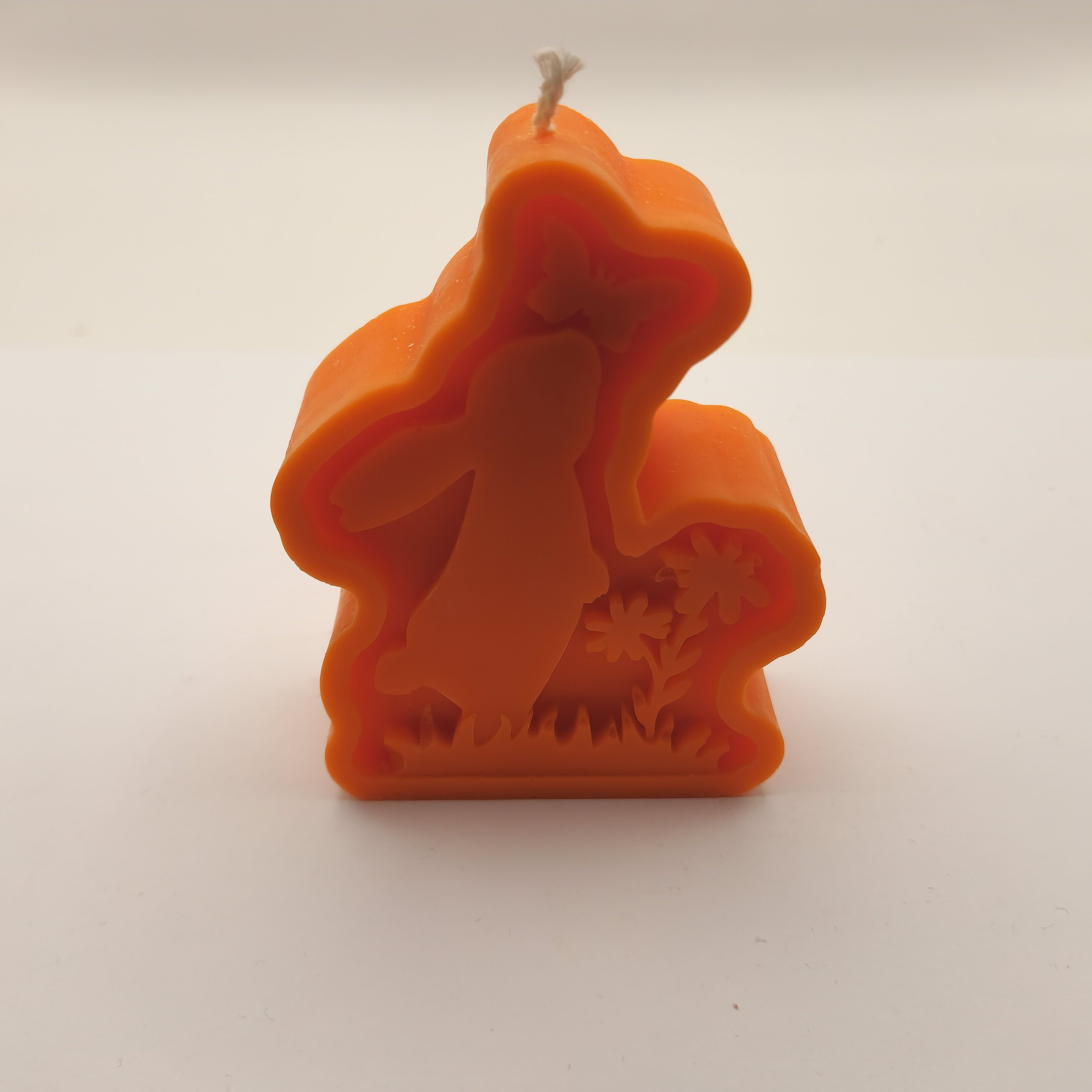 Lapik jänes liblikaga