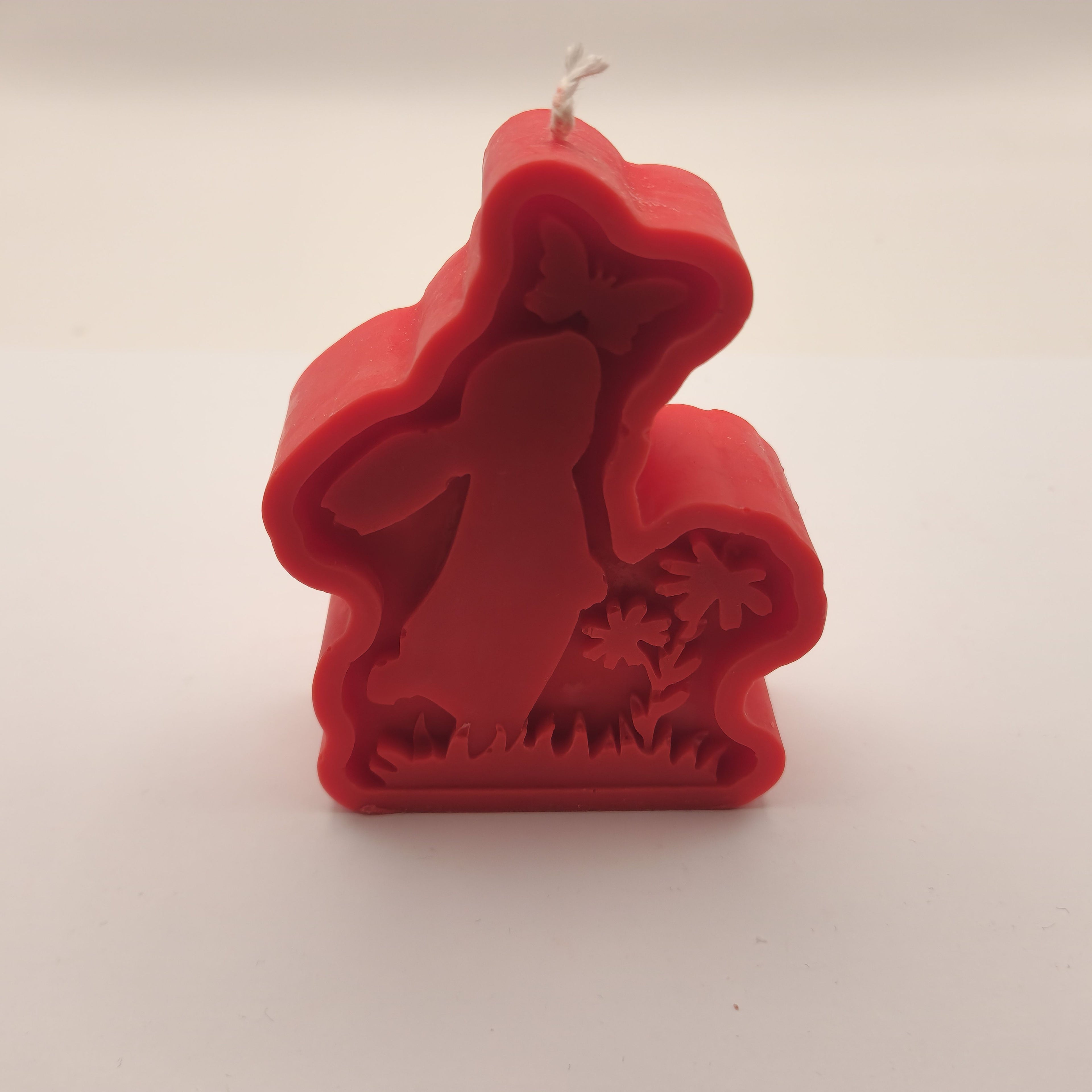 Lapik jänes liblikaga