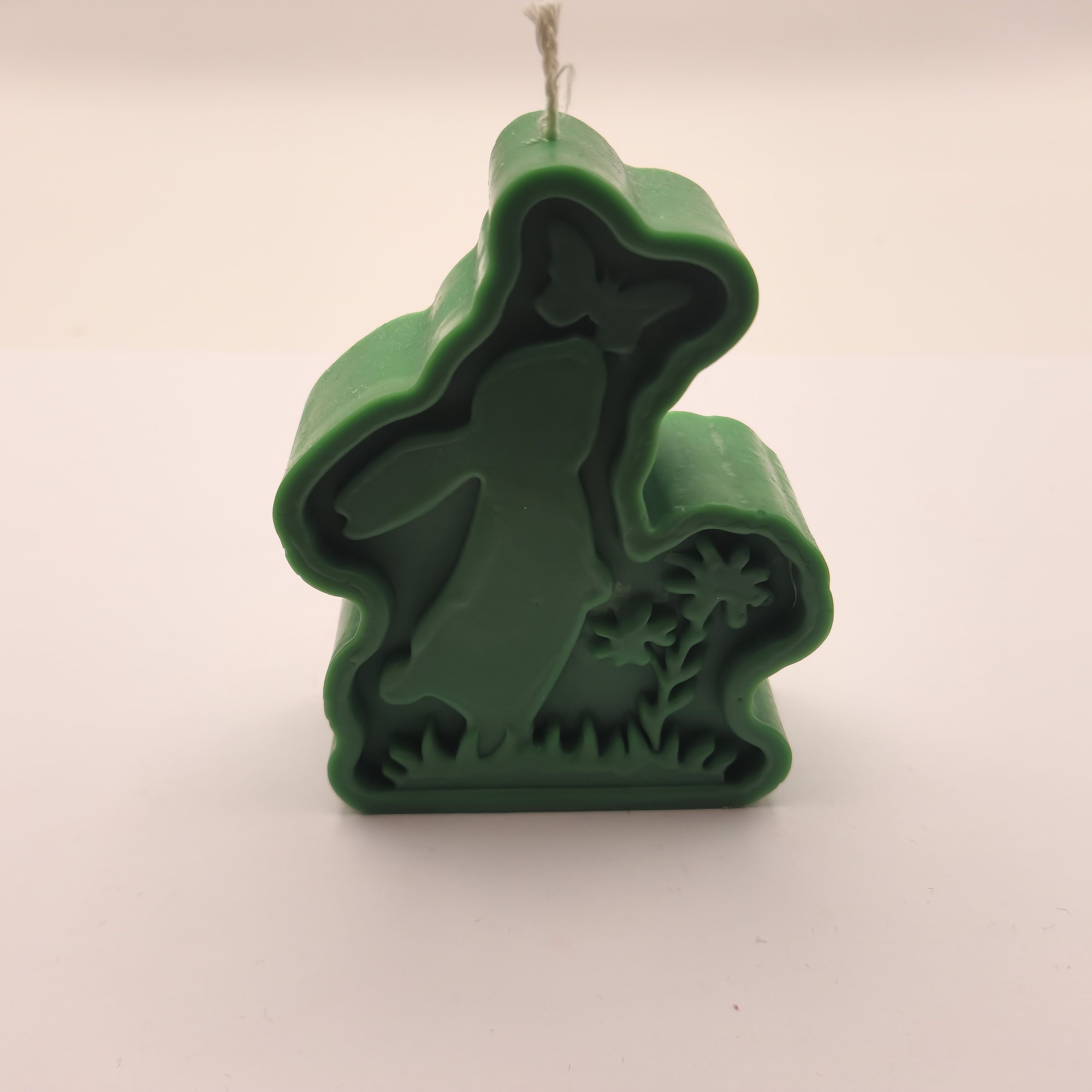 Lapik jänes liblikaga