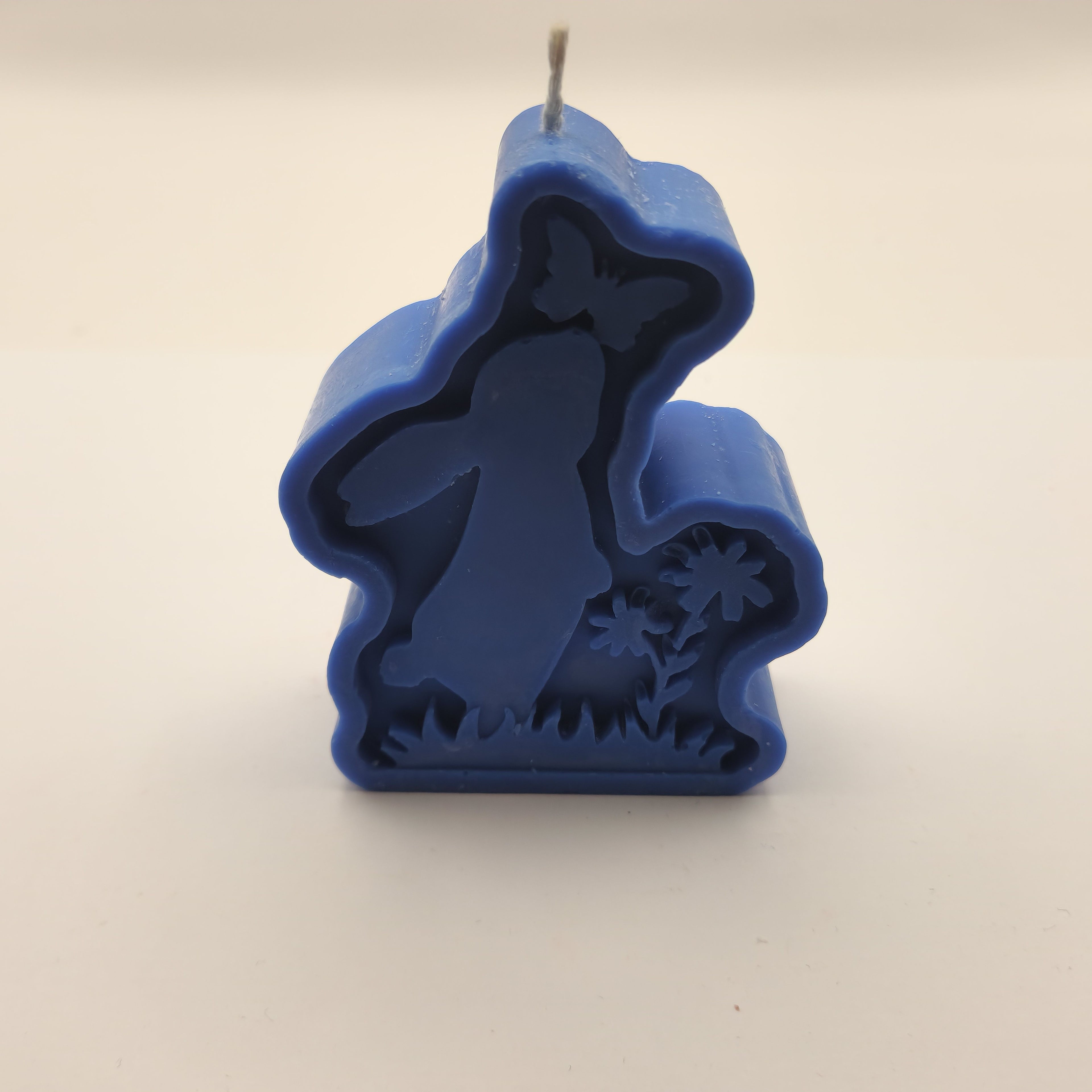 Lapik jänes liblikaga