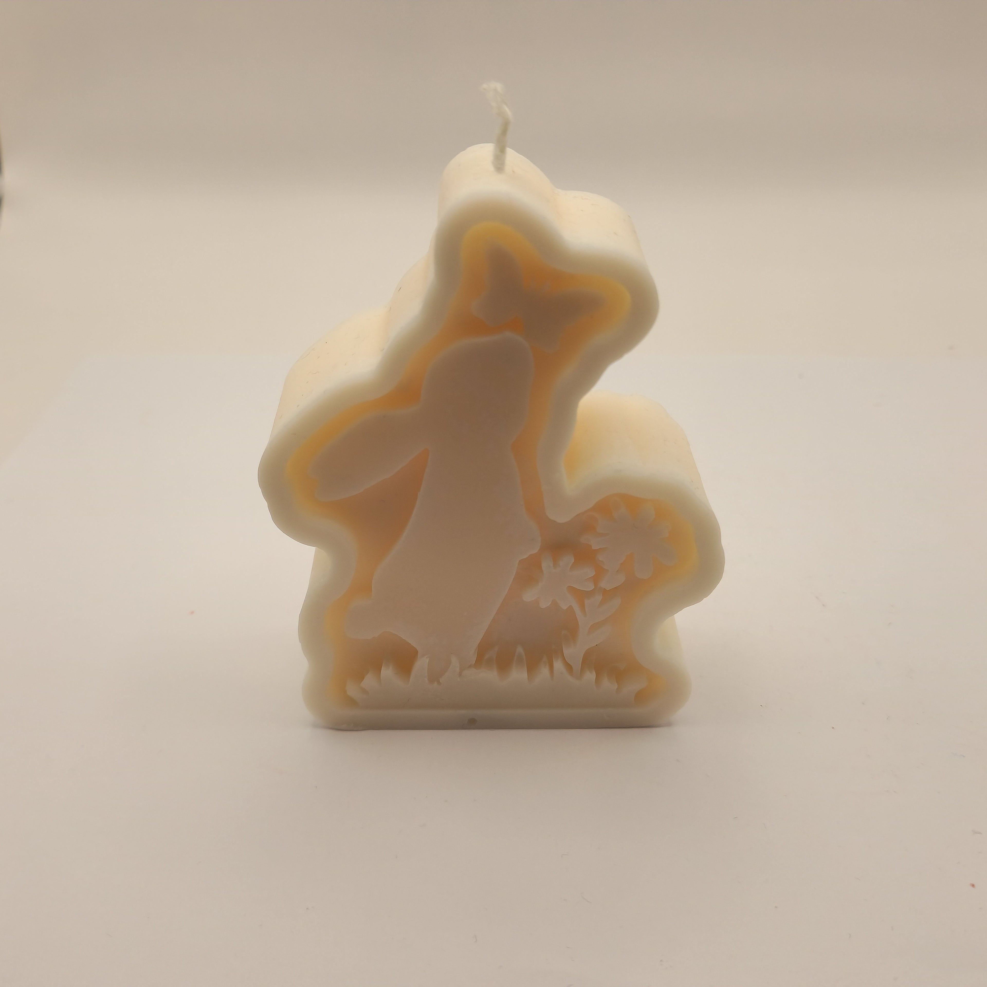 Lapik jänes liblikaga